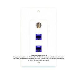 Placa Tapa Decora USB 2.0 Tipo A + 2 Jack Rj45 Cat6