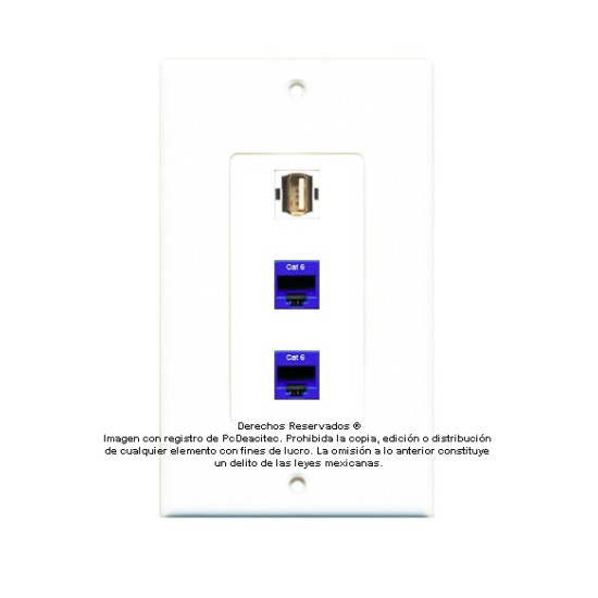 Placa Tapa Decora USB 2.0 Tipo A + 2 Jack Rj45 Cat6