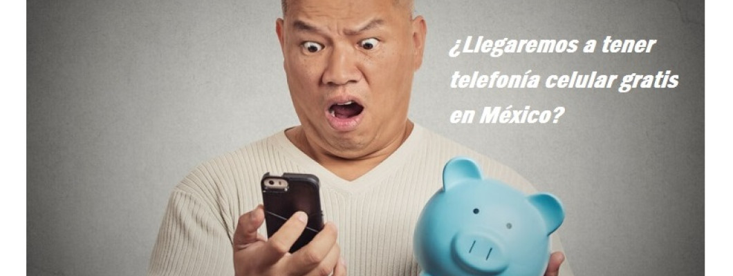 Blog PcD 13. ¿Llegaremos a tener telefonía celular gratis en México?