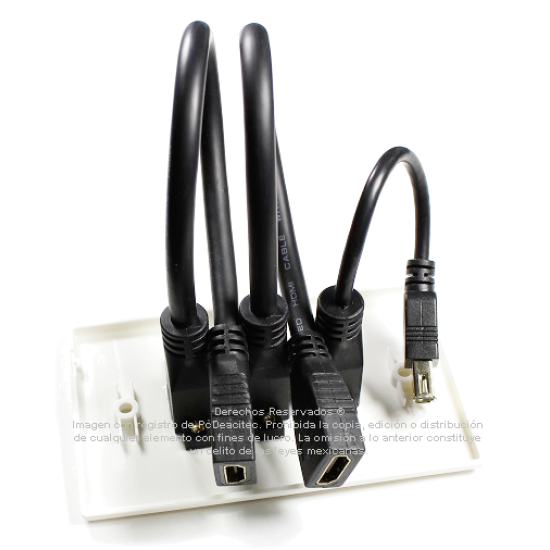 Placa Tapa doble HDMI 4k pigtail + USB 2.0 pigtail en ABS