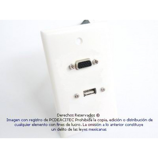 Placa Tapa VGA + USB 2.0 pigtail en ABS