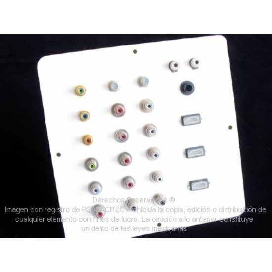 Tablero a Pared Multipuertos Video y Audio 24 puertos