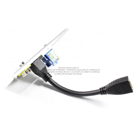 Placa Tapa VGA + HDMI pigtail + Jack RJ45 Cat6 ponchable en Aluminio