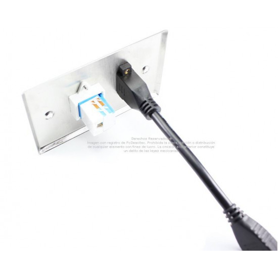 Placa Tapa HDMI pigtail + Jack RJ45 Cat6 ponchable Acero Inoxidable