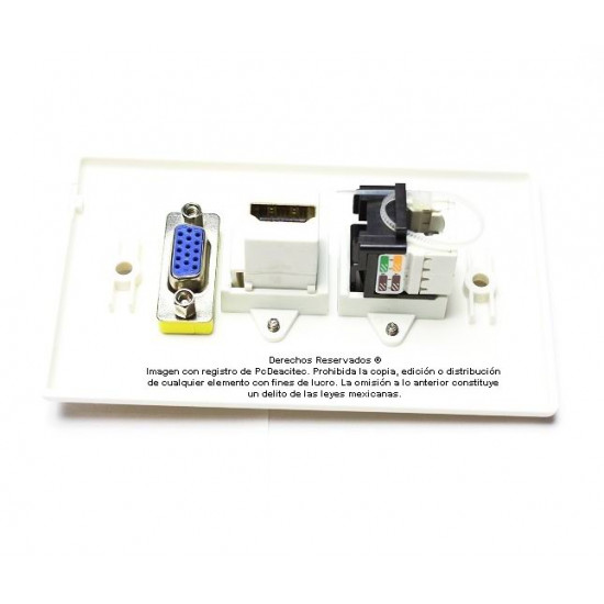 Placa Tapa VGA + HDMI + Jack RJ45 Cat6 ponchable en ABS