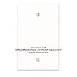 Placa Tapa ciega de 1 gang en ABS