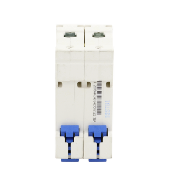 Pastilla para Riel Din, 2 Polos, 32 Amp, Vca:110/415v, 6kA, Catálogo: NXB632PC32, Serie: NXB-63.