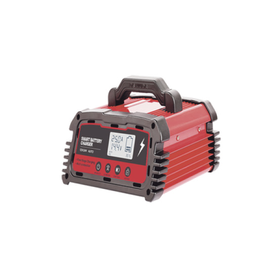Cargador de Baterías / 12 o 24 Vcc / hasta 250 Ah / 25 A / Display LCD 