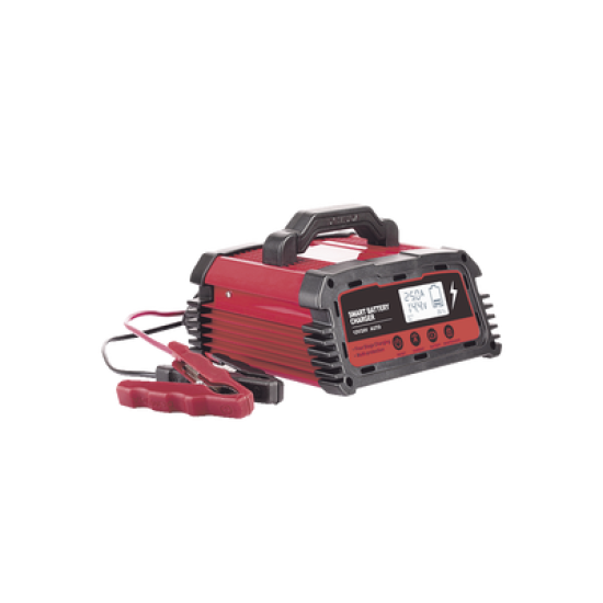 Cargador de Baterías / 12 o 24 Vcc / hasta 250 Ah / 25 A / Display LCD 