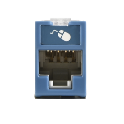 Jack UltraMAX Cat6, UTP, Montaje híbrido en Placa de Pared (Plano y Angulado), Color Azul, Punch Down