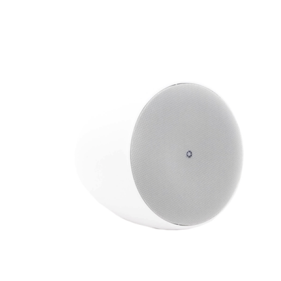 Altavoz Colgante Comercial | 6.5 in | 2 Vias | 300w | 8 Ohms | 70v/100v | Blanco