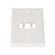 Placa de Pared Vertical Clásica, Salida Para 2 Puertos Mini-Com, Color Blanco Mate