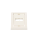 Placa de Pared Vertical Ejecutiva, Salida Para 2 Puertos Mini-Com, Con Espacios Para Etiquetas, Color Blanco Mate