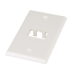 Placa de Pared Vertical Clásica, Salida Para 2 Puertos Mini-Com, Color Blanco Mate