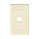 Placa de Pared Vertical, Salida Para 1 Puerto Keystone, Con Espacios Para Etiquetas, Color Marfil