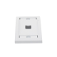 Placa de Pared Vertical Ejecutiva, Salida Para 1 Puerto Mini-Com, Con Espacios Para Etiquetas, Color Blanco
