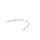 Cable de Parcheo Slim UTP Cat6 - 30 cm Azul Diámetro Reducido (28 AWG)