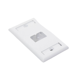 Placa de Pared Vertical Clásica, Salida Para 2 Puertos Mini-Com, Con Espacios Para Etiquetas, Color Blanco