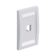 Placa de Pared Vertical Ejecutiva, Salida Para 1 Puerto Mini-Com, Con Espacios Para Etiquetas, Color Blanco