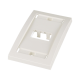 Placa de Pared Vertical Ejecutiva, Salida Para 2 Puertos Mini-Com, Con Espacios Para Etiquetas, Color Blanco Mate