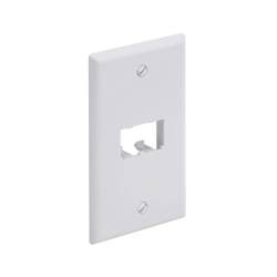 Placa de Pared Vertical Clásica, Salida Para 2 Puertos Mini-Com, Color Blanco