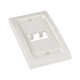 Placa de Pared Vertical Ejecutiva, Salida Para 2 Puertos Mini-Com, Con Espacios Para Etiquetas, Color Blanco Mate
