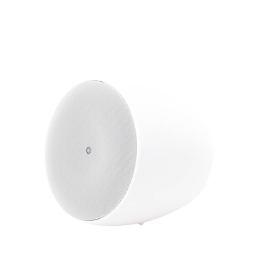 Altavoz Colgante Comercial | 6.5 in | 2 Vias | 300w | 8 Ohms | 70v/100v | Blanco