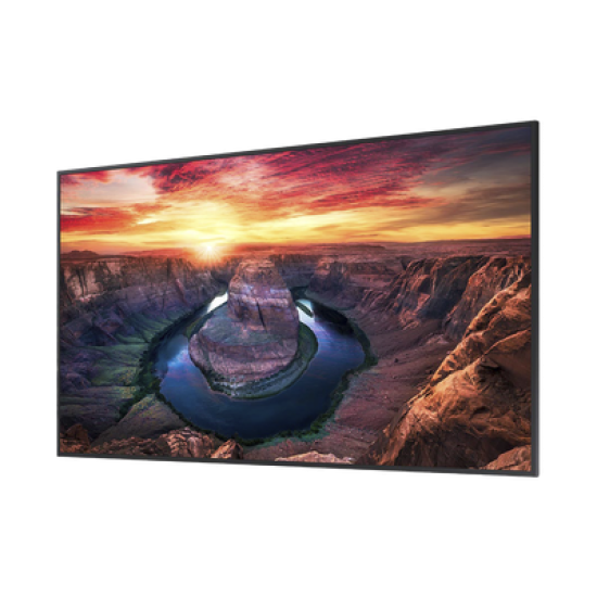 Pantalla Profesional LED de 55