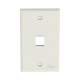 Placa de Pared Vertical, Salida Para 1 Puerto Keystone, Color Blanco Mate