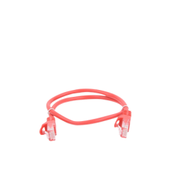 Cable de parcheo UTP Cat5e - 0.5 m - rojo