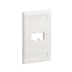 Placa de Pared Vertical Clásica, Salida Para 2 Puertos Mini-Com, Con Espacios Para Etiquetas, Color Blanco