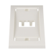 Placa de Pared Vertical Ejecutiva, Salida Para 2 Puertos Mini-Com, Con Espacios Para Etiquetas, Color Blanco Mate
