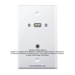 Placa Tapa USB 2.0 + Audio Jack 3.5 mm en ABS