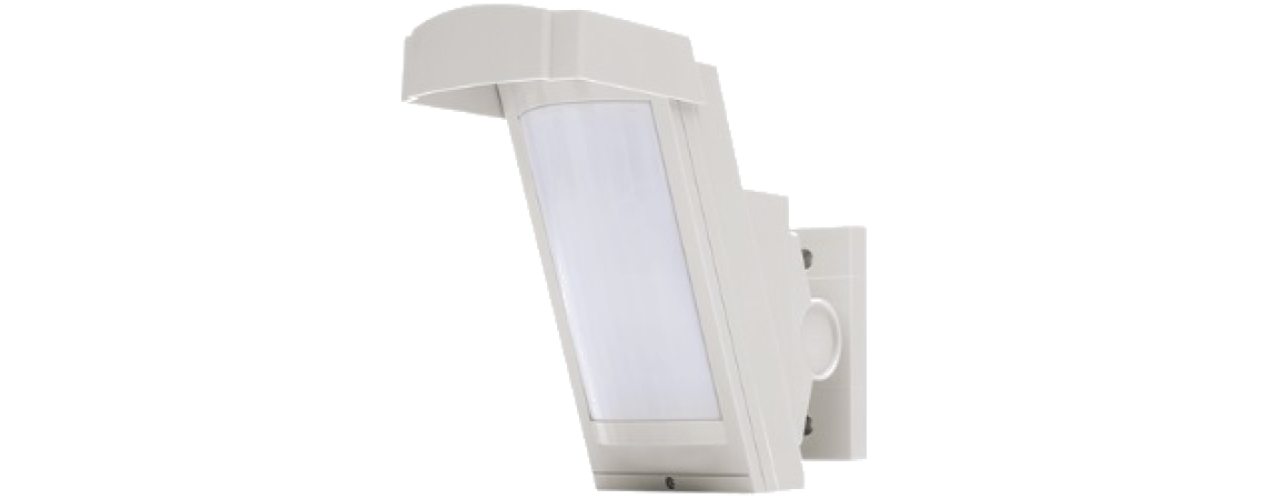 Protección Perimetral 