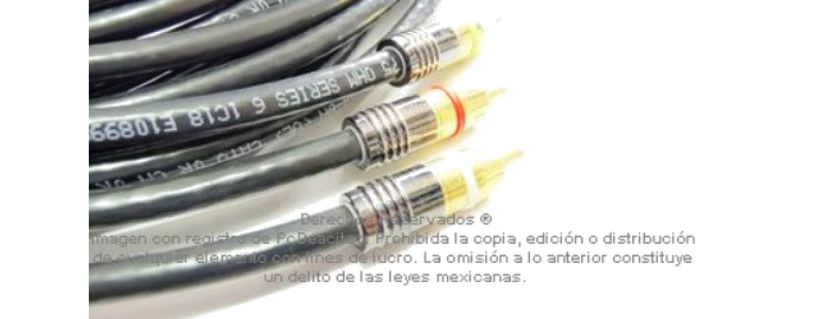 Cables Video RCA