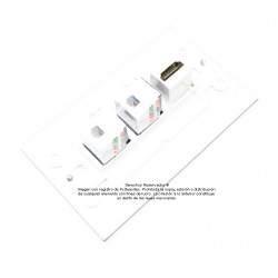 Placa Tapa Decora HDMI + 2 Jack RJ45 Cat5e en ABS