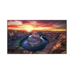 Pantalla Profesional de 85