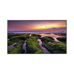 Pantalla Profesional LED de 65