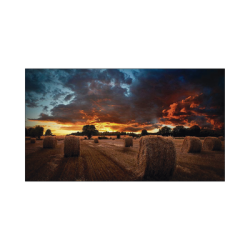 Pantalla Profesional LED de 46