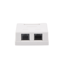 Caja de pared con Jack UTP Cat5e y Jack RJ11 telefónico